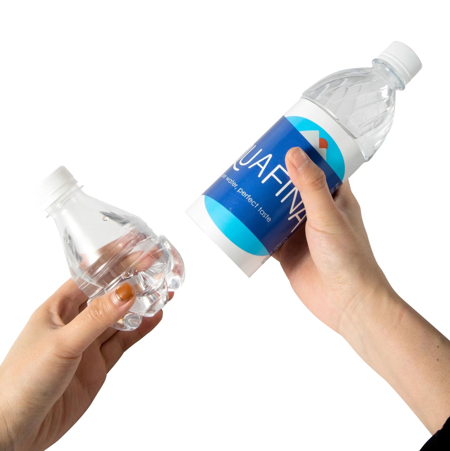 Aquafina™ Diversion Safe Water Bottle – Hidden Security Stash with Smell-Proof Bag