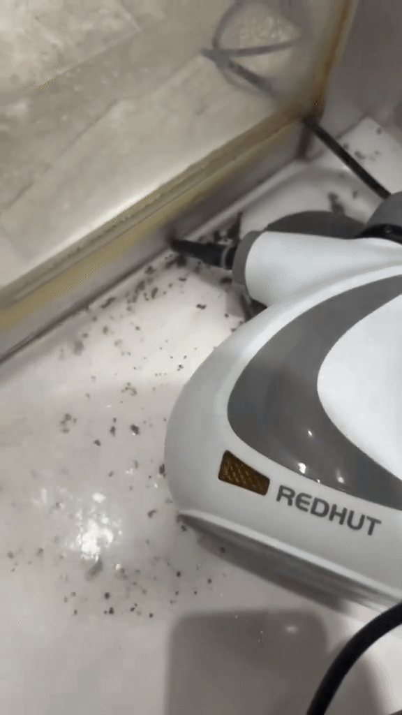 RapidClean Steam Pro