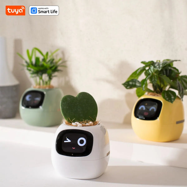 Ivy Tuya Smart Planter Pro
